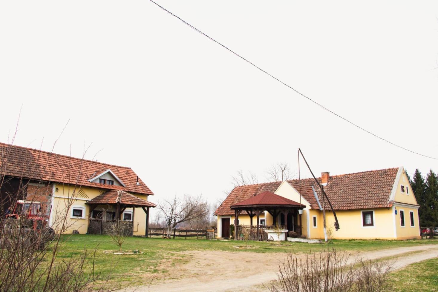 Country House Ivancan Molve Dış mekan fotoğraf