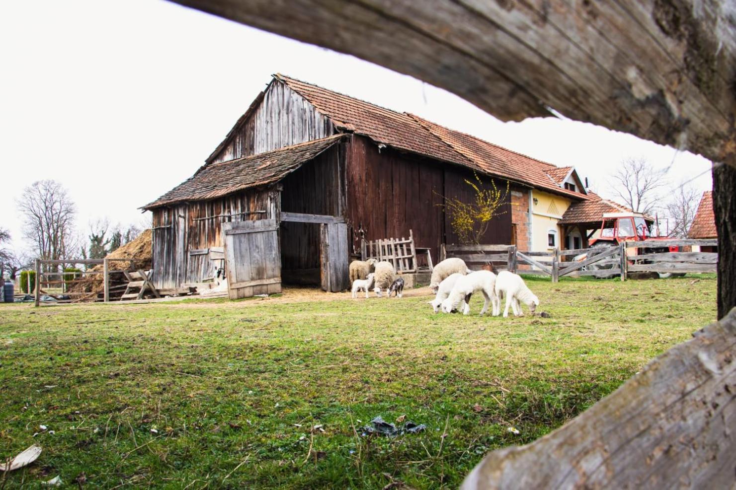 Country House Ivancan Molve Dış mekan fotoğraf