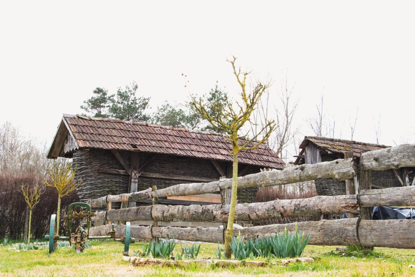 Country House Ivancan Molve Dış mekan fotoğraf