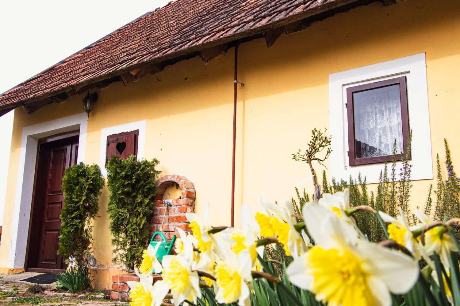 Country House Ivancan Molve Dış mekan fotoğraf