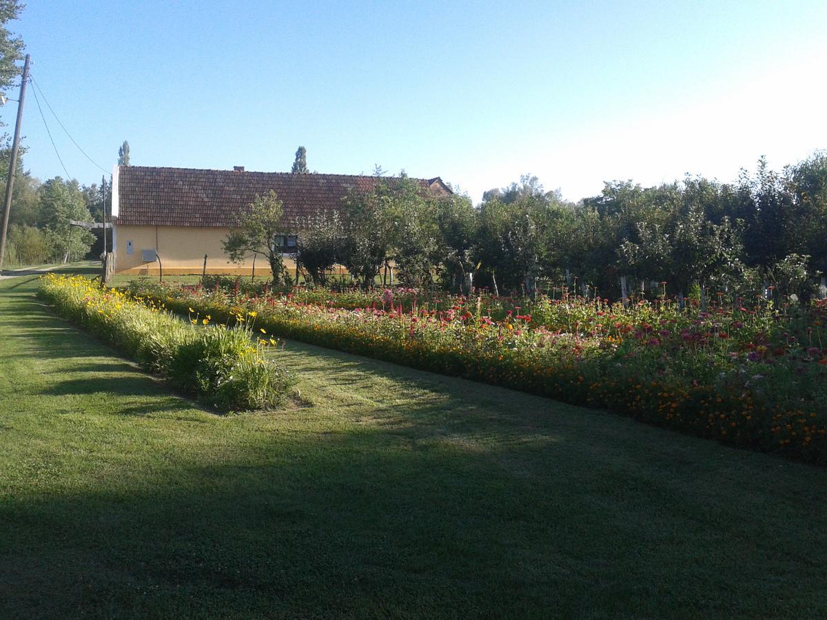 Country House Ivancan Molve Dış mekan fotoğraf
