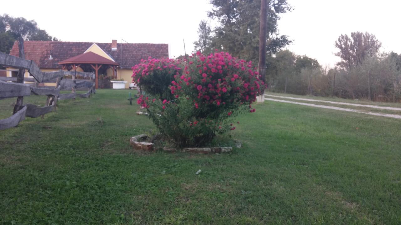 Country House Ivancan Molve Dış mekan fotoğraf